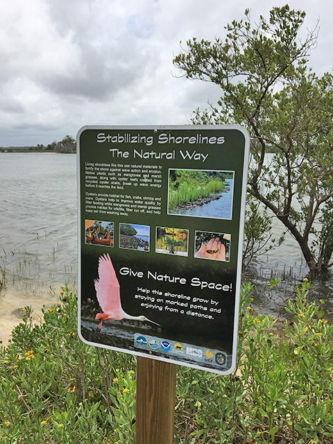 Coastal signage with the message “Stabilizing Shorelines the Natural Way”