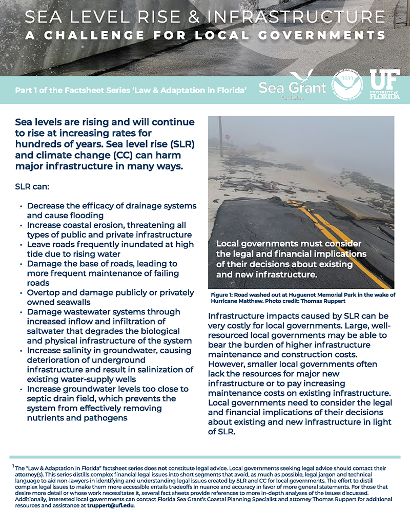 cover of SLR and Infrastructure factsheet