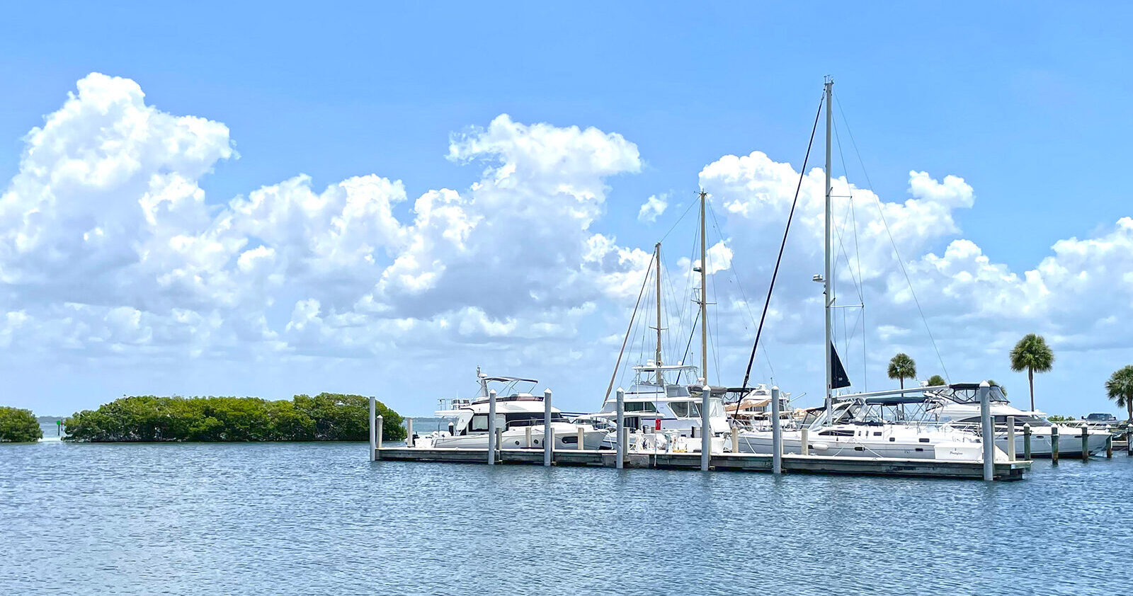 Several white boats and sailboats rest docked at a wooden pier stretching into calm blue water under a bright sky filled with large, puffy white clouds. Two small, dense green mangrove islands sit to the left of the dock, while a few isolated palm trees stand on the shore to the right