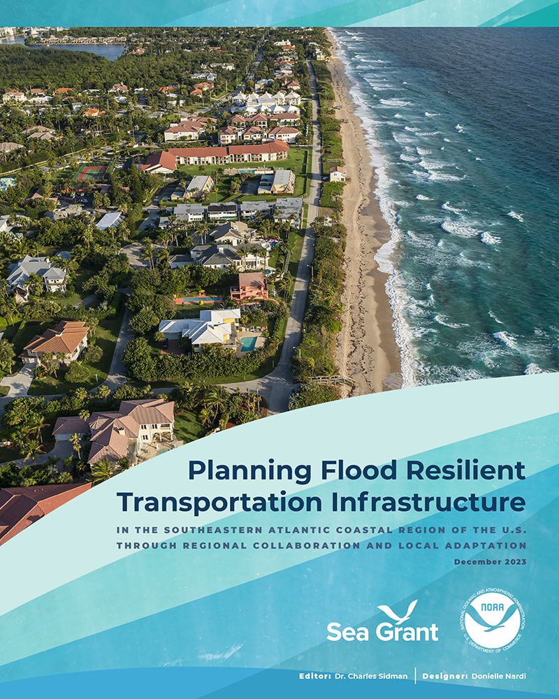 cover page for planning flood resilient transportation infrastructure project summary