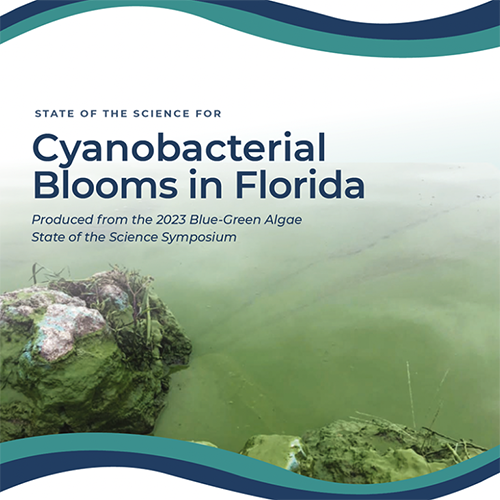 report cover page blue green algae