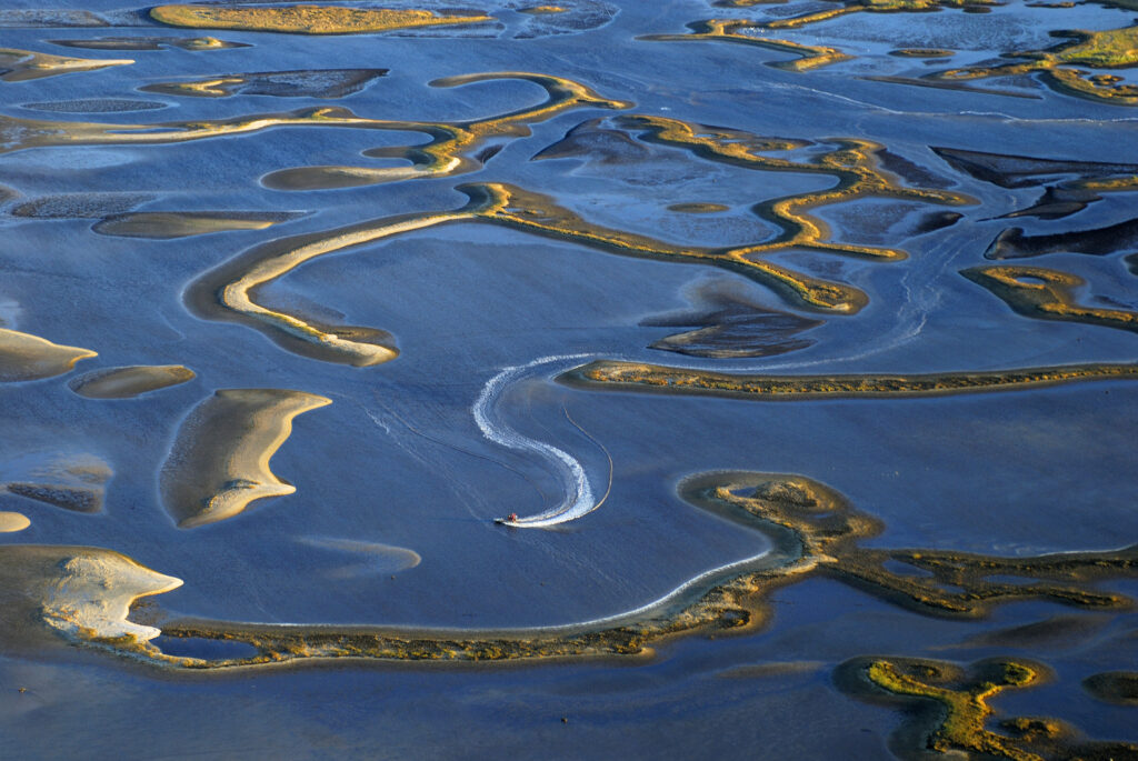 An airboat navigates the salt marsh and oyster beds at low tide near Cedar Key. 
