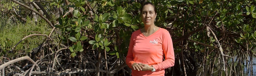 Ana Zangroniz standing in water near mangroves