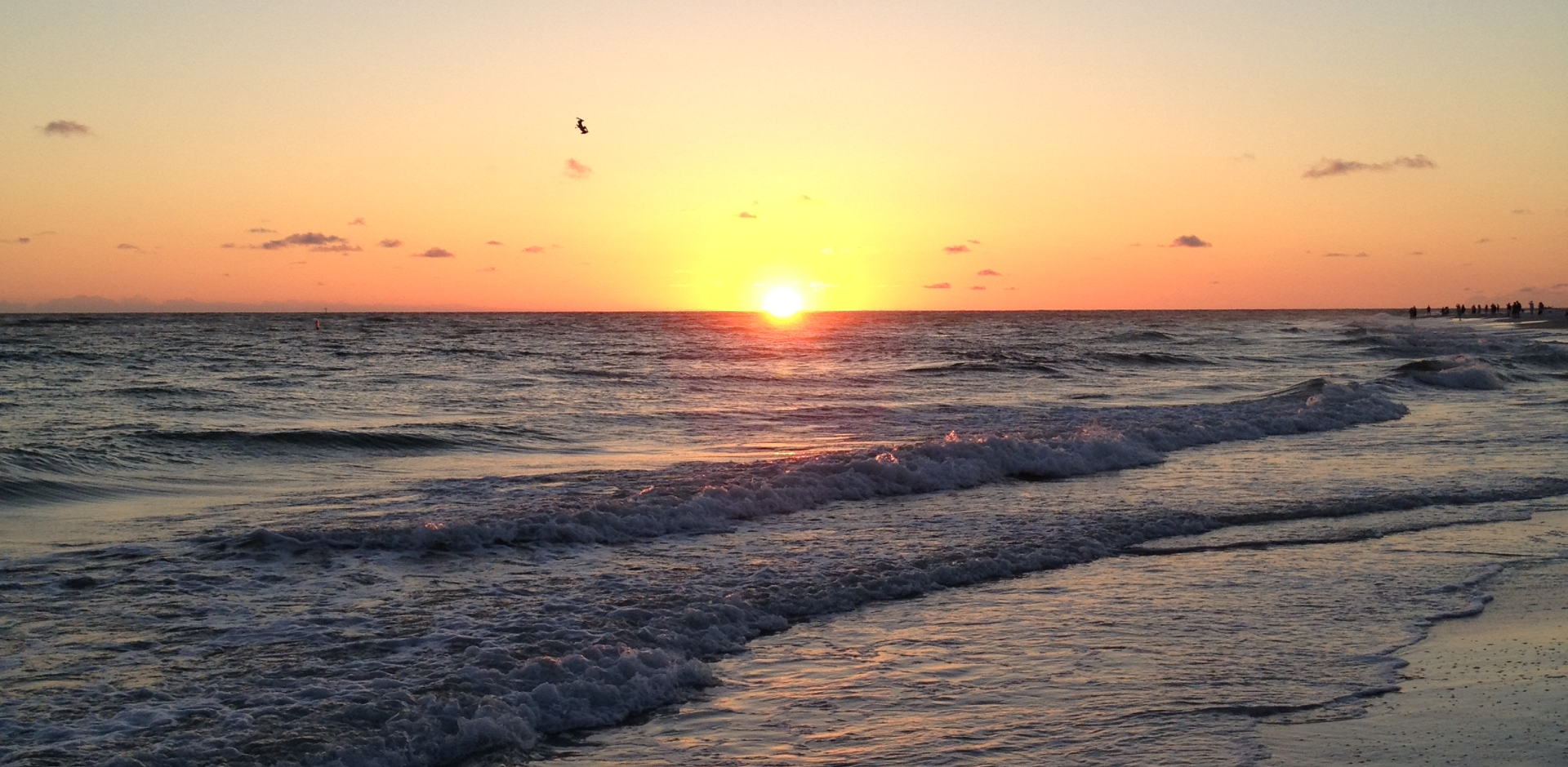 beach at sunset waves and seagulls flying