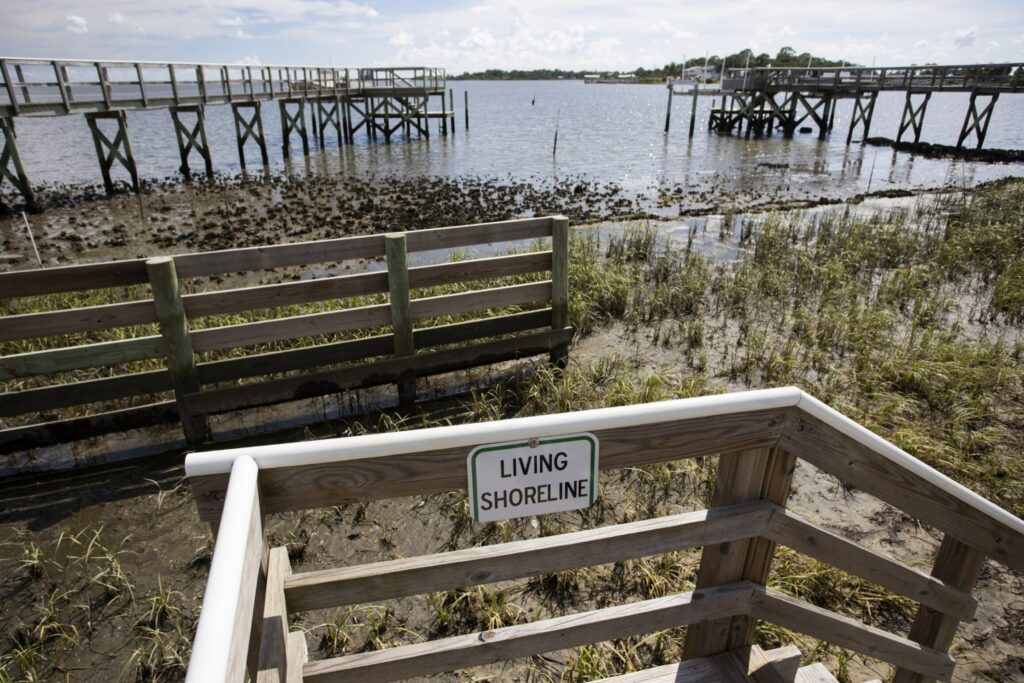 Living shorelines project in Cedar Key. 