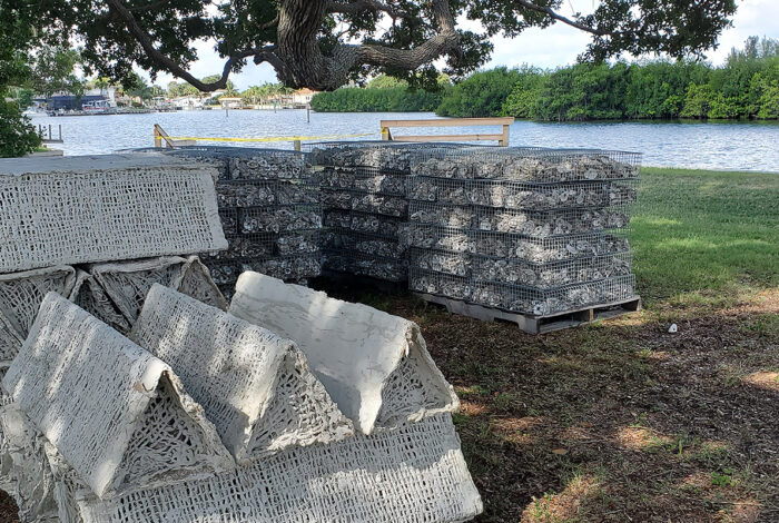 Several pallets stacked with triangular, mesh-textured concrete artificial reef blocks sit under the shade of a large tree on a grassy riverbank. In the background, a calm river flows past a dense line of green mangroves on the opposite shore under a hazy sky