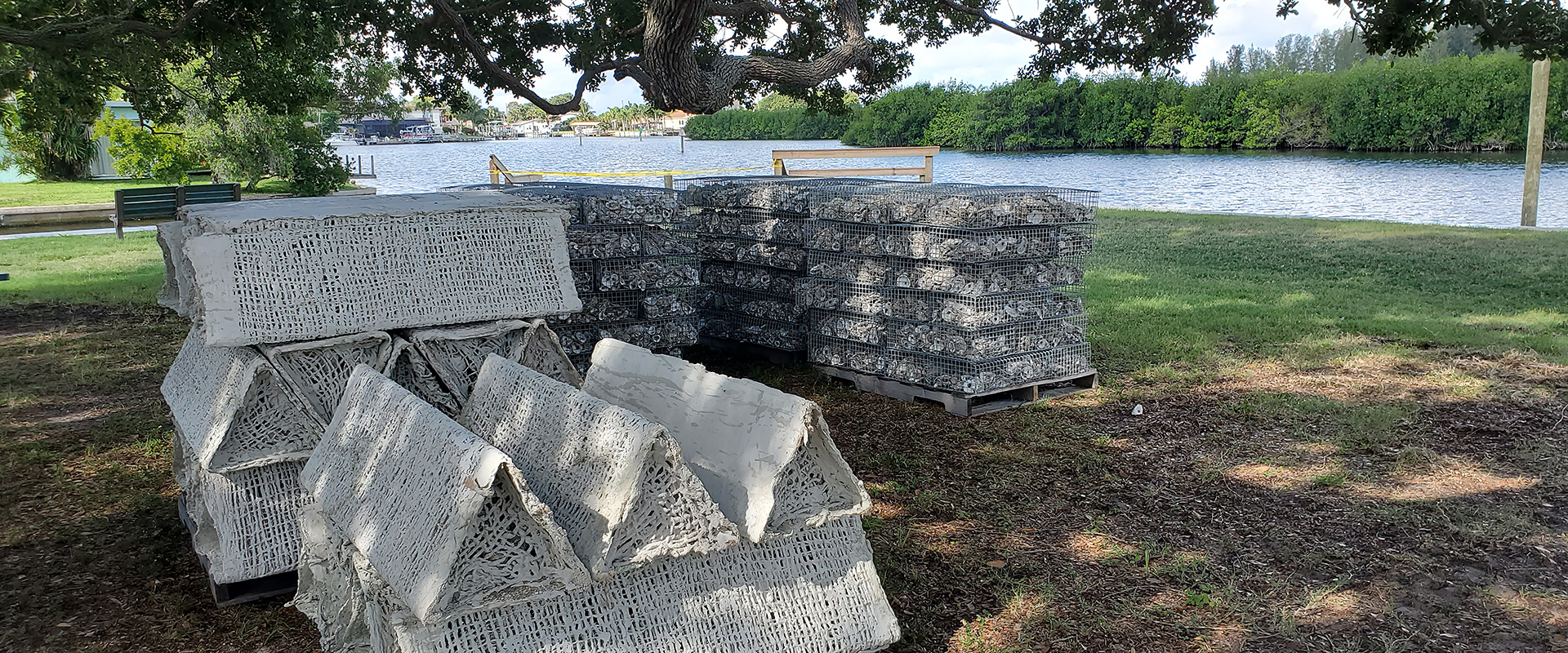 Several pallets stacked with triangular, mesh-textured concrete artificial reef blocks sit under the shade of a large tree on a grassy riverbank. In the background, a calm river flows past a dense line of green mangroves on the opposite shore under a hazy sky