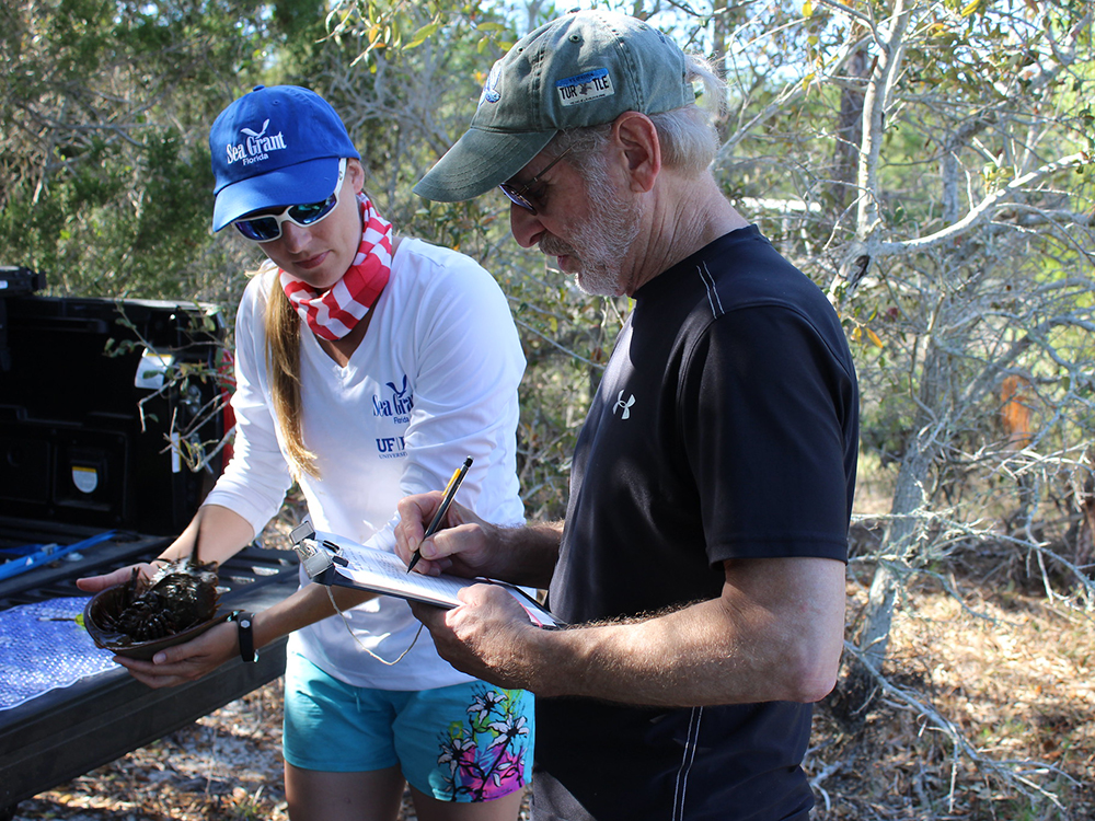 Dr. Savanna Barry and volunteer record horseshoe crab data.