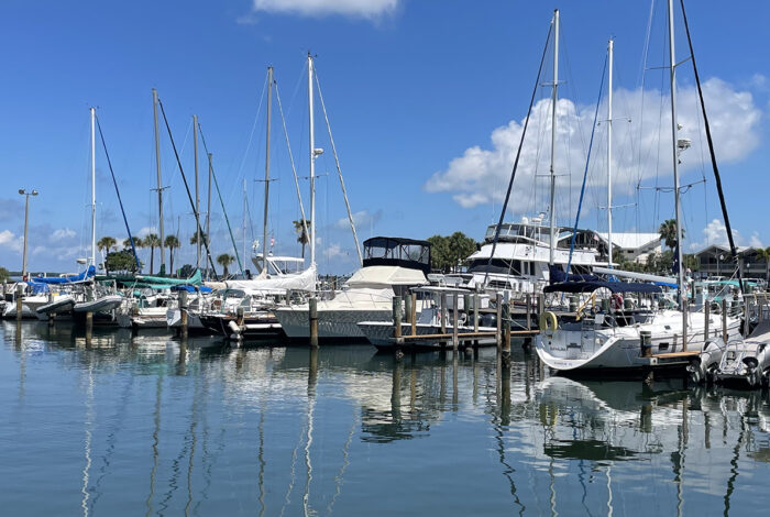 A busy marina filled with numerous sailboats and motorboats docked along a pier on clear, calm water that perfectly mirrors their hulls and tall masts. Tall green palm trees line the background shore under a bright blue sky with scattered white clouds
