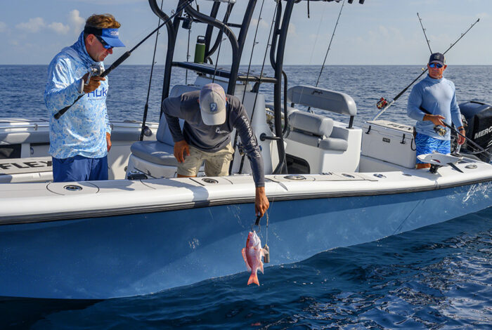 Three men fish from a light blue center-console boat on the open ocean under a clear sky. One man leans over the side of the boat, using a weighted line to lower a bright pink fish back into the water, while his two companions watch with their fishing rods in hand