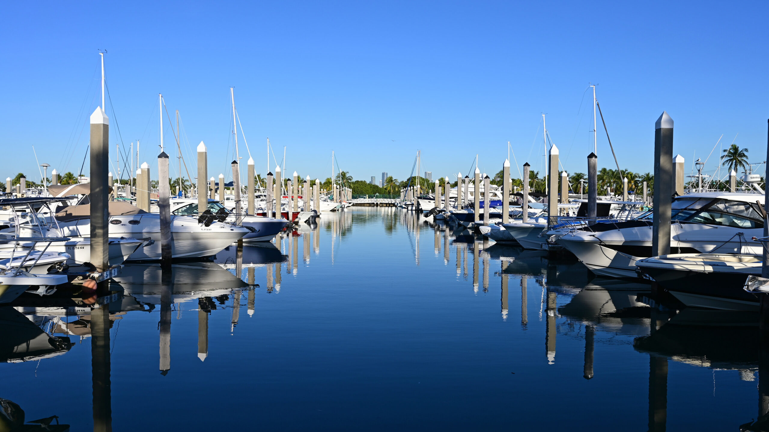 Boats docked in marina in Key Biscayne, Florida in early morning light on clear autumn day.
