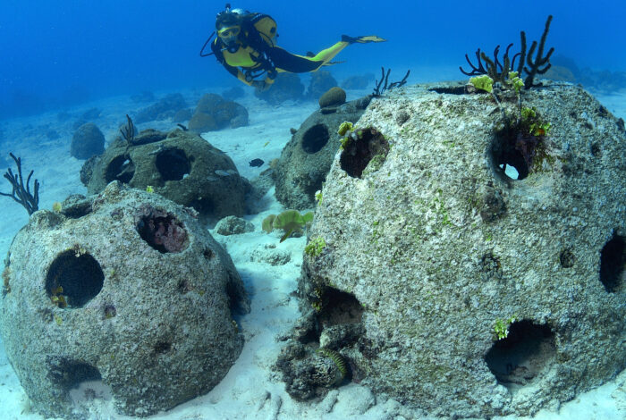 A scuba diver in a yellow and black wetsuit swims over several large, hollow concrete reef balls on a sandy ocean floor. The dome-shaped structures are covered in light marine growth and feature numerous circular holes, set against clear blue water.
