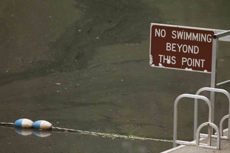 A weathered brown metal sign reading NO SWIMMING BEYOND THIS POINT in white letters is posted next to a metal swimming ladder on a dock overlooking dark, murky water with floating blue and white buoys.