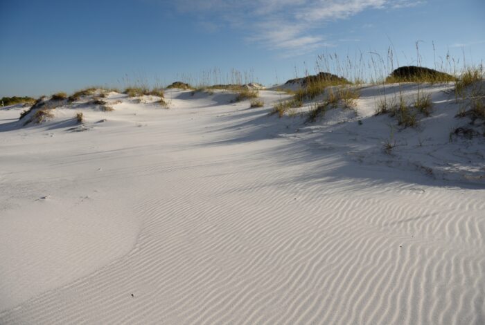 A vast expanse of white sand dunes features distinct wind-rippled patterns in the foreground, with sparse sea oats growing along the ridges under a clear blue sky