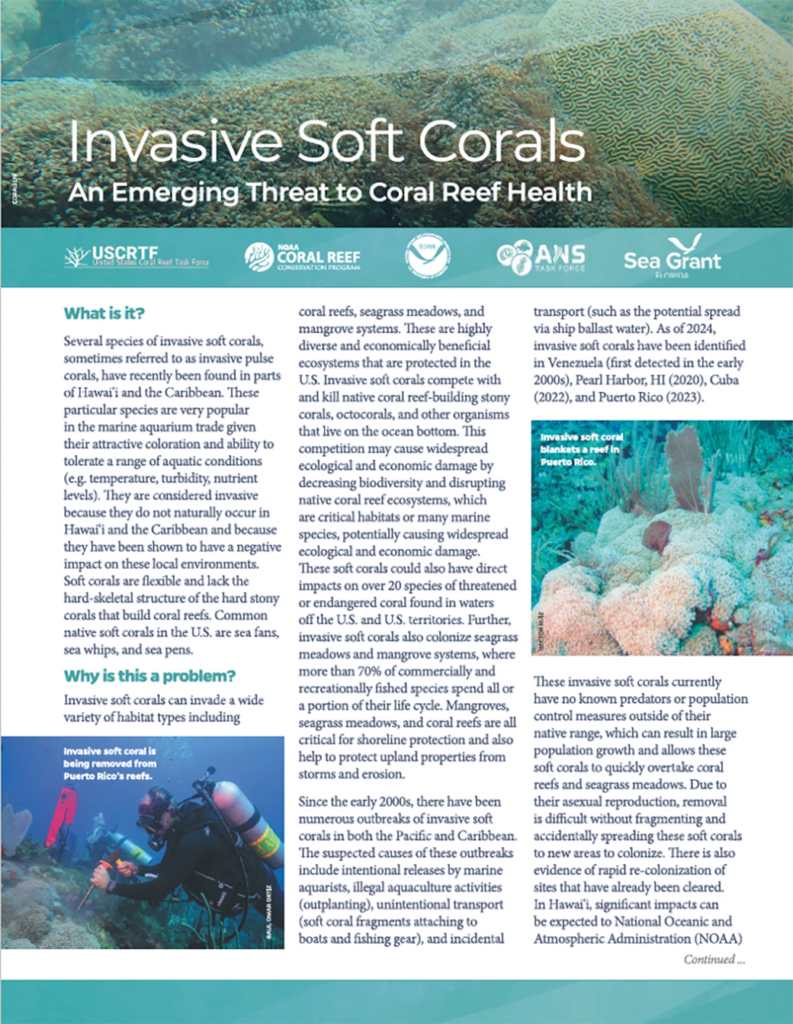 invasive-coral-flyer-thumbnail