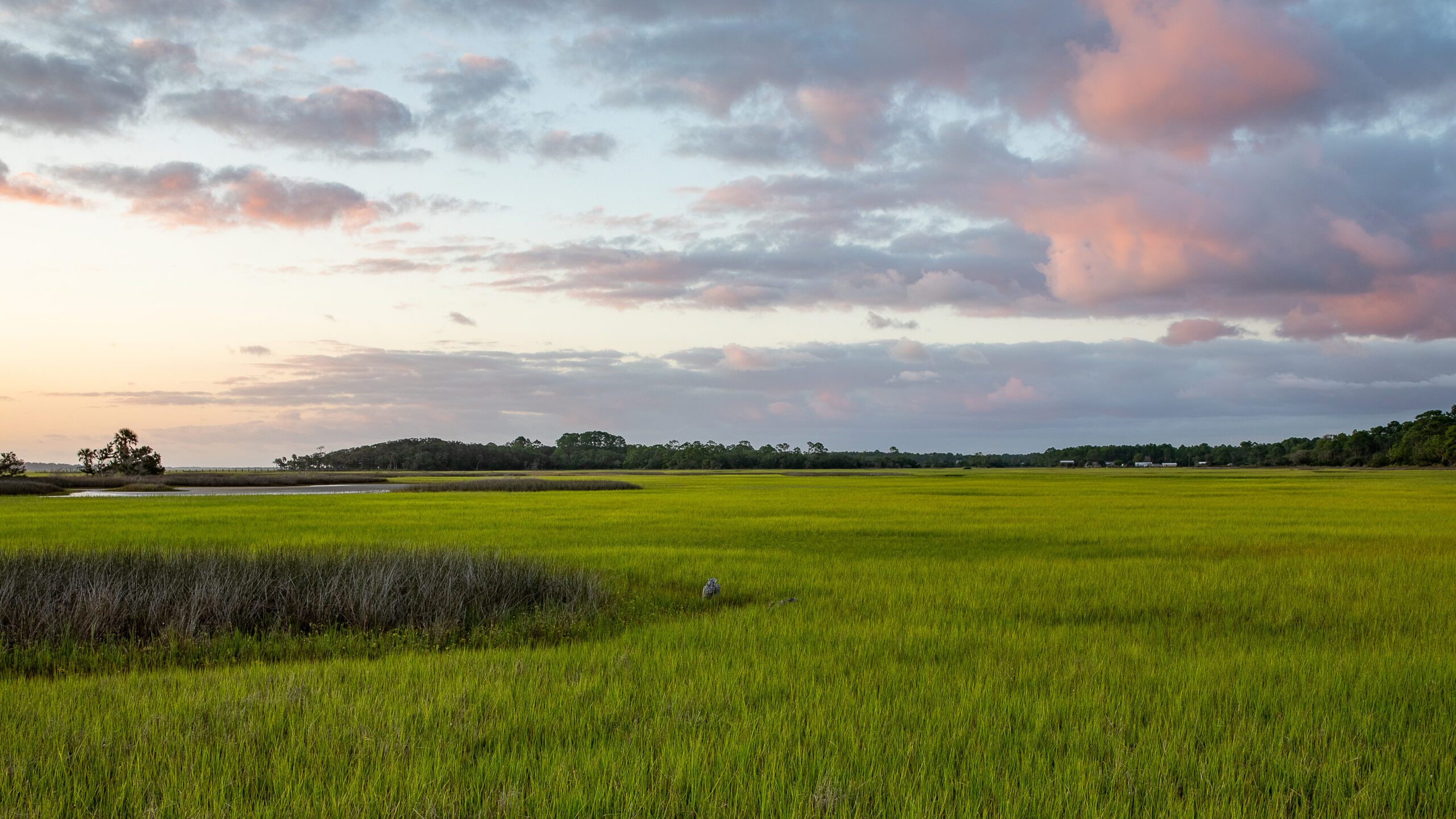 a wide shot of marsh grasses and a colorful sky