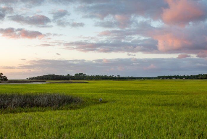a wide shot of marsh grasses and a colorful sky