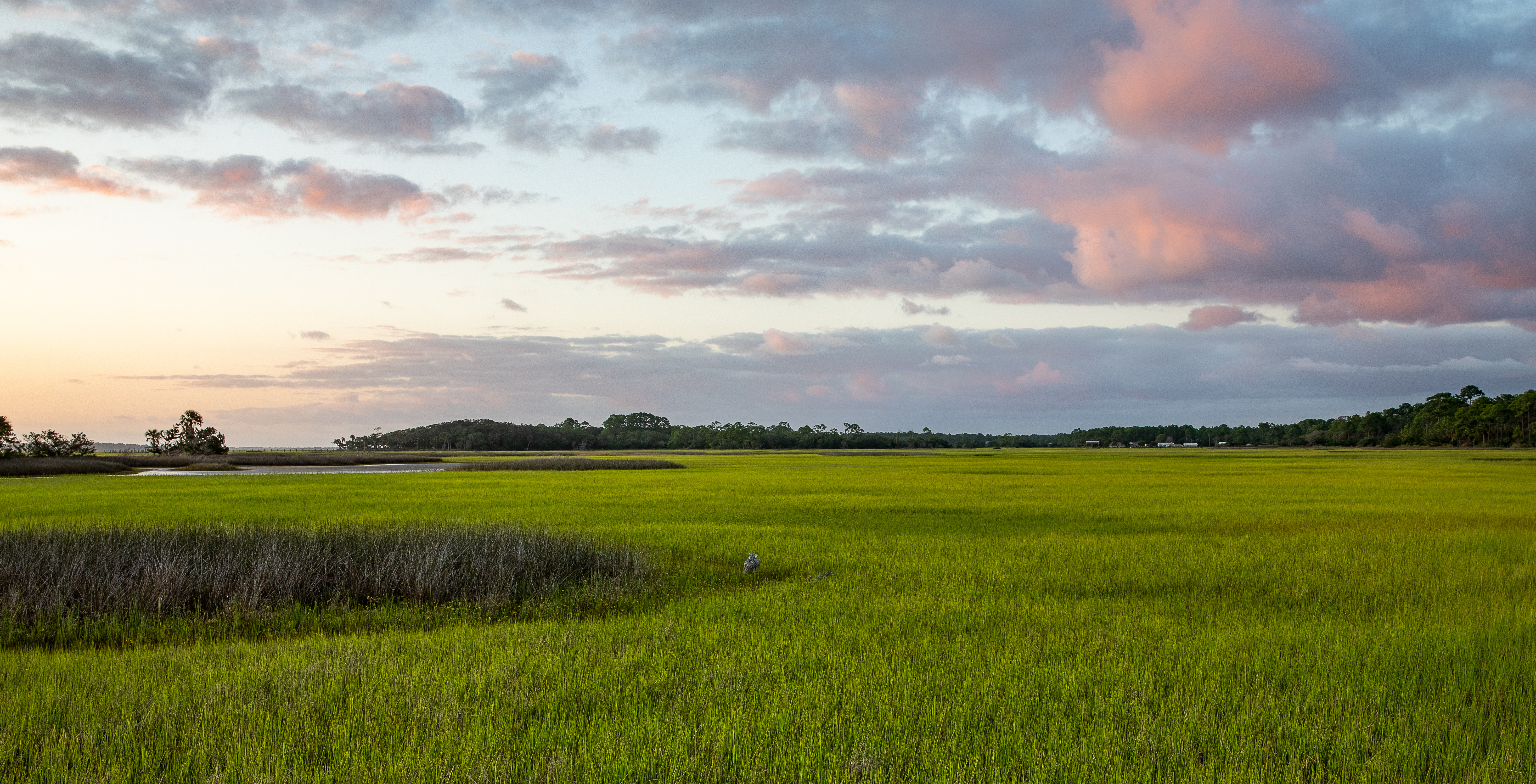 salt marsh
