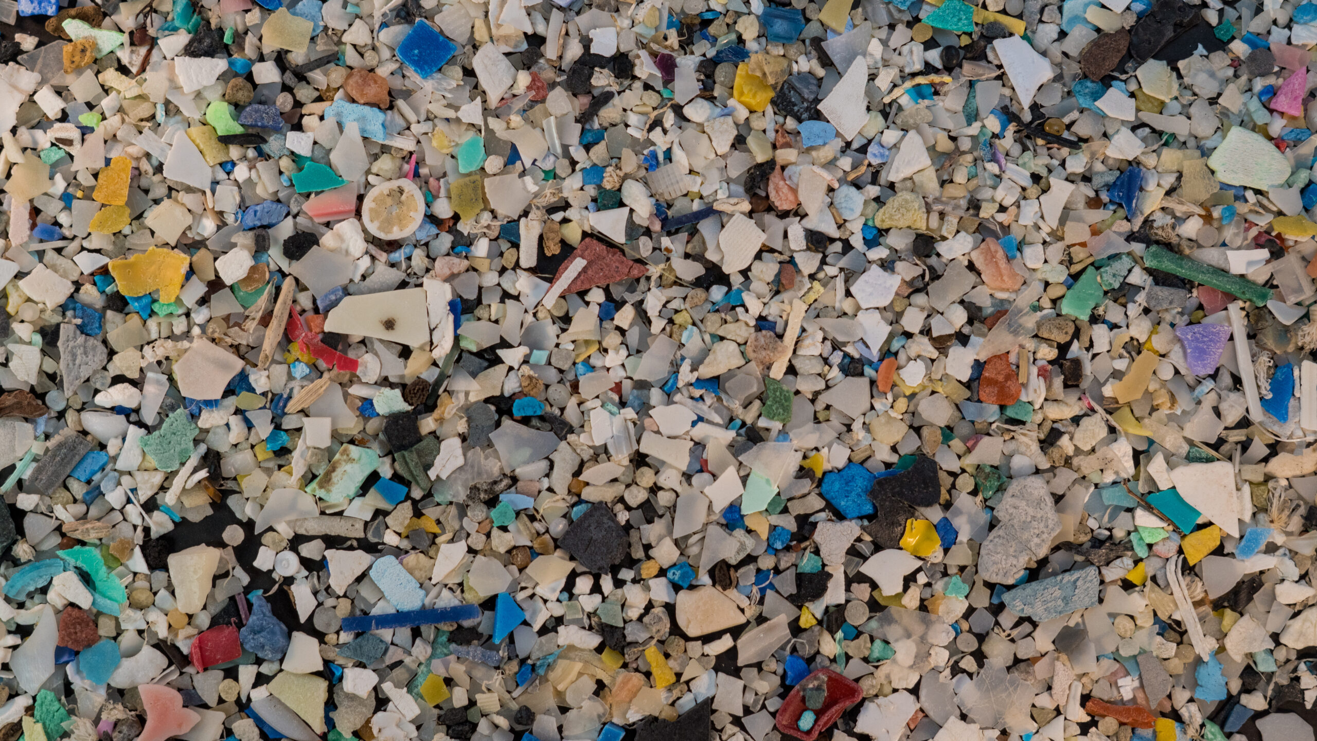 plastic marine debris