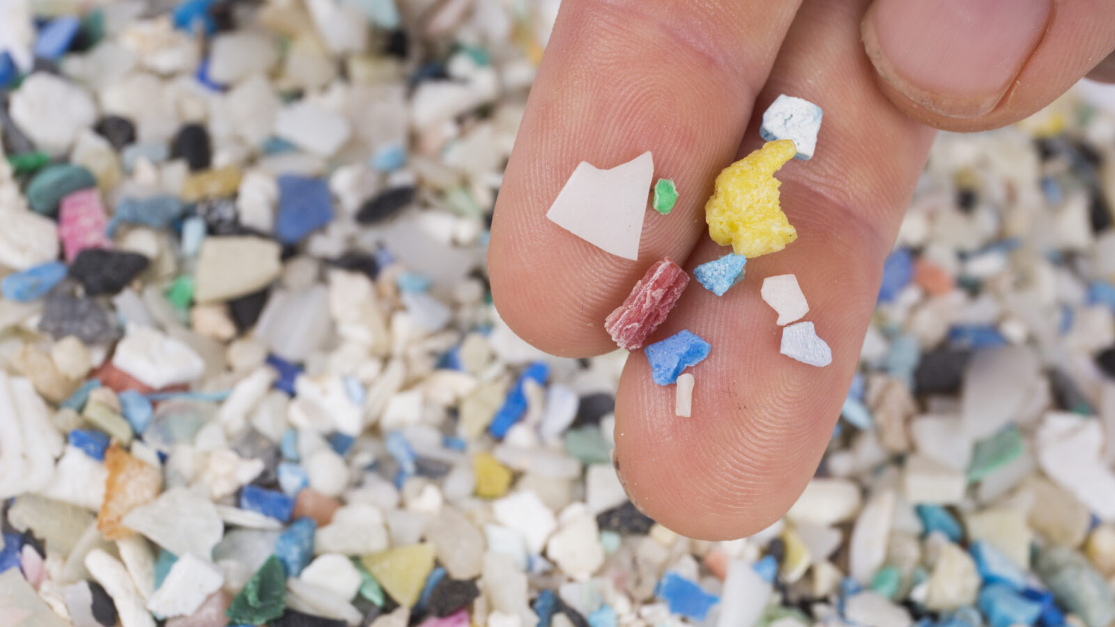 A person's fingers hold several small, colorful pieces of microplastic fragments over a large, blurry pile of multi-colored plastic debris.