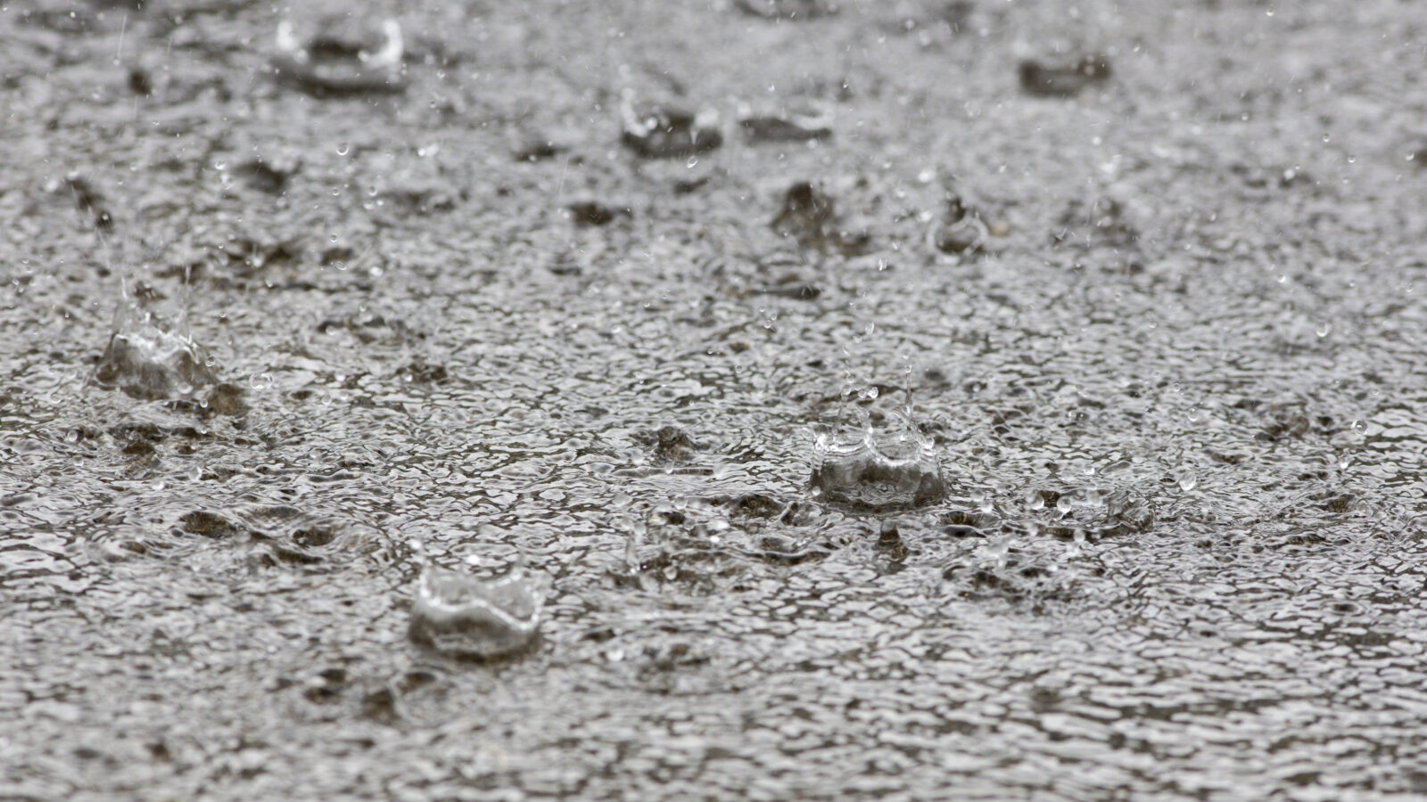 Rain drops falling on pavement