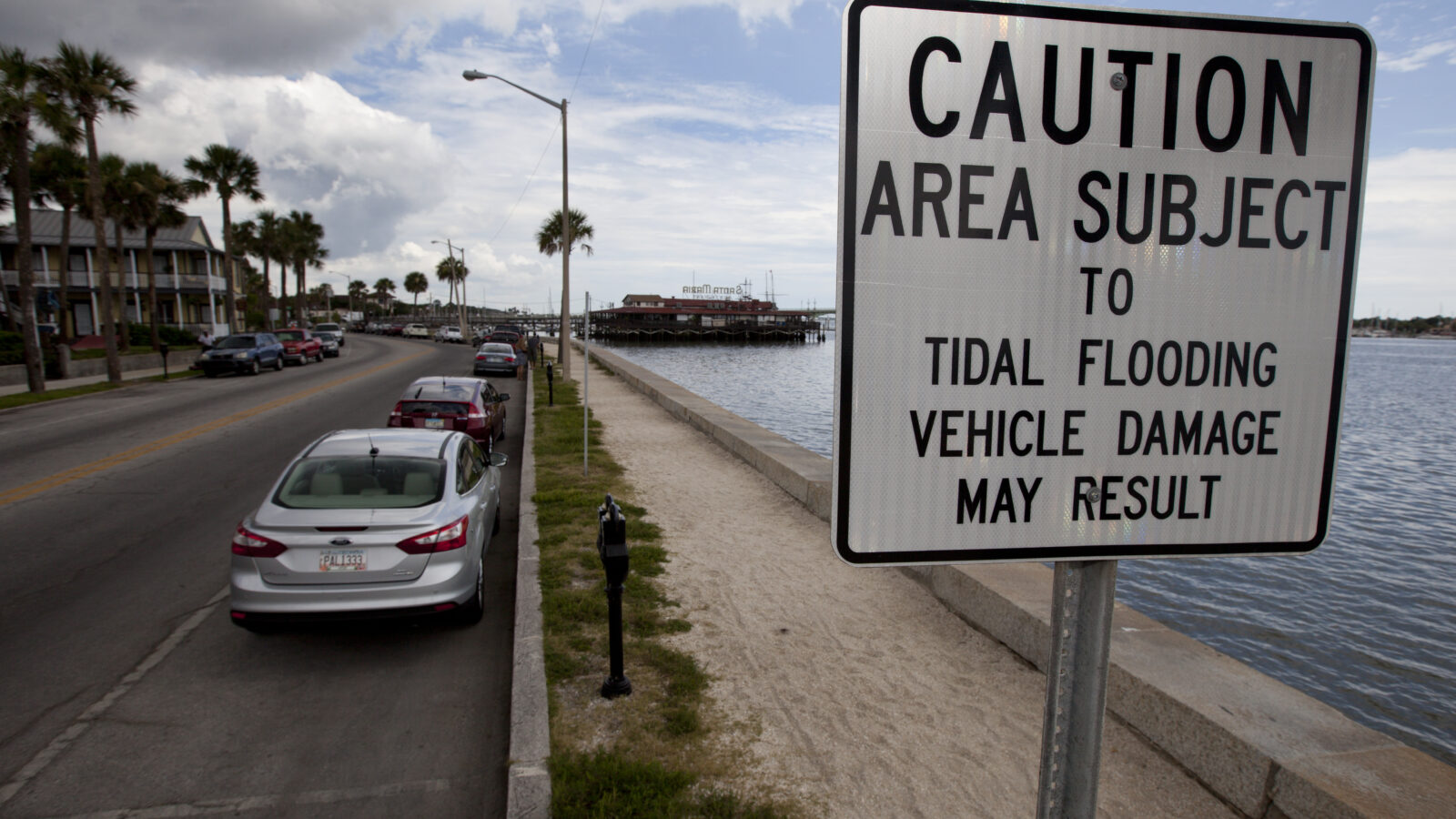 A white street sign reads CAUTION AREA SUBJECT TO TIDAL FLOODING VEHICLE DAMAGE MAY RESULT next to parked cars on a coastal road.