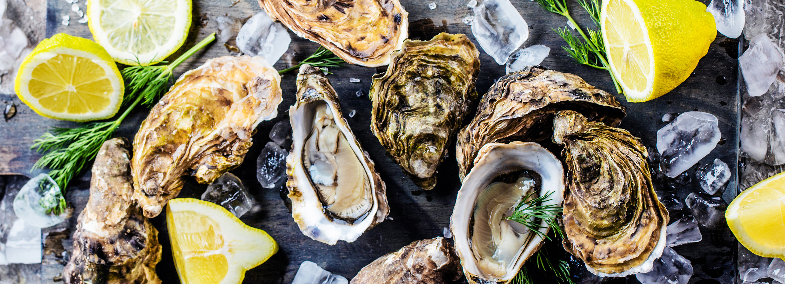 A flat lay view of raw oysters on the half shell and whole unopened oysters arranged on a dark wooden board with ice cubes, lemon slices, and fresh dill.