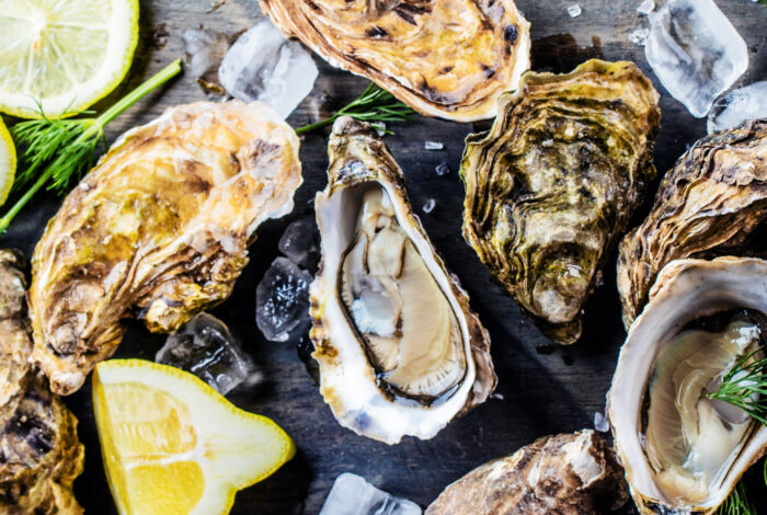 A flat lay view of raw oysters on the half shell and whole unopened oysters arranged on a dark wooden board with ice cubes, lemon slices, and fresh dill.