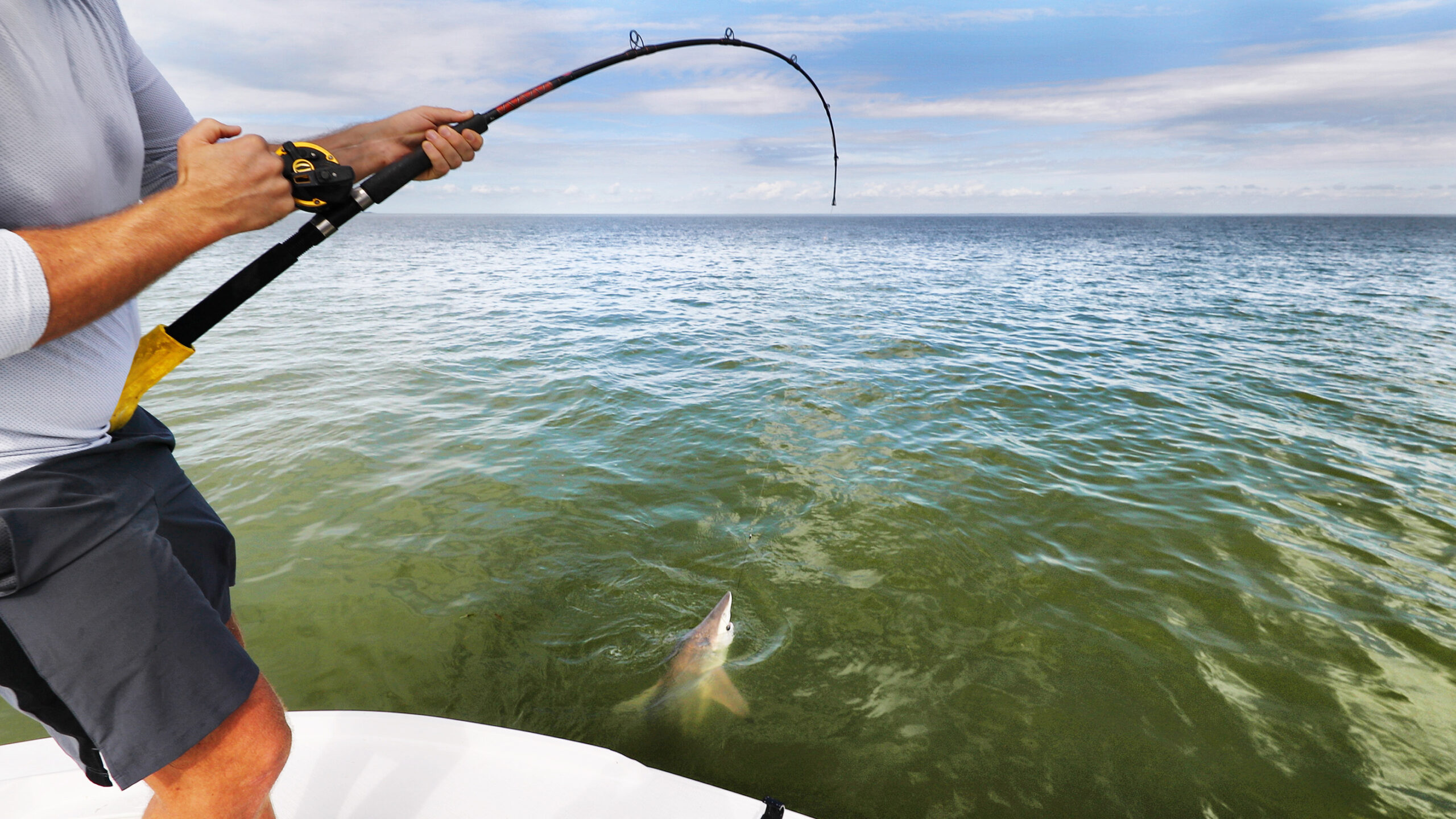 A fisherman standing on the edge of a white boat reels in a small shark, with his fishing rod bent in a sharp curve over the water. The man wears a light grey long-sleeved shirt and dark grey shorts as he grips the rod tightly with both hands. The shark's head and pointed dorsal fin break the surface of the green, brackish coastal water, which ripples outward under a wide, partly cloudy sky on the horizon.