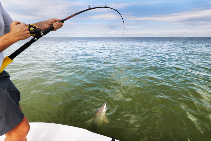 A fisherman standing on the edge of a white boat reels in a small shark, with his fishing rod bent in a sharp curve over the water. The man wears a light grey long-sleeved shirt and dark grey shorts as he grips the rod tightly with both hands. The shark's head and pointed dorsal fin break the surface of the green, brackish coastal water, which ripples outward under a wide, partly cloudy sky on the horizon.