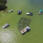 Marine Science Minute with Florida Sea Grant Marine Science Minute with Florida Sea Grant