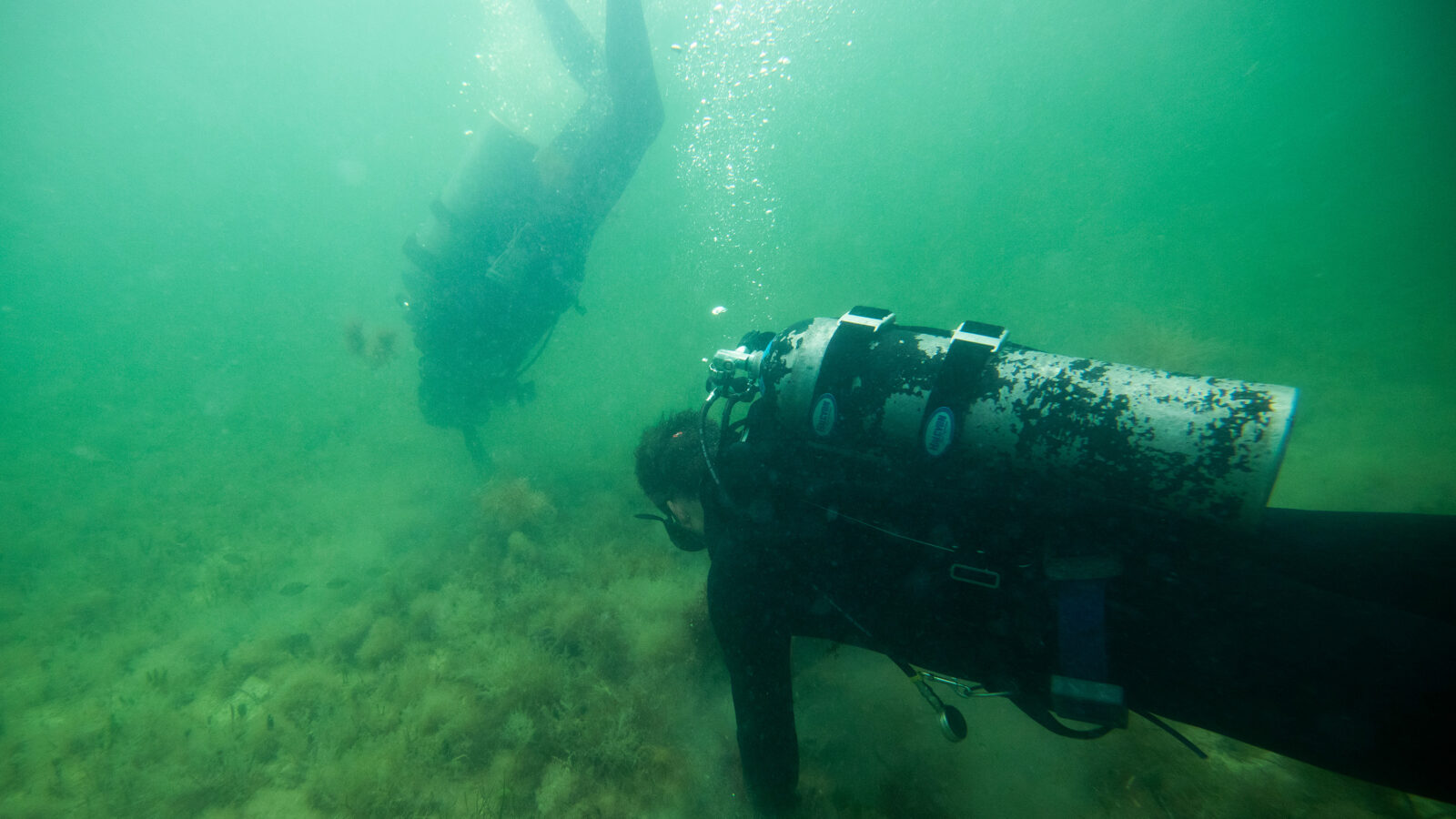 Two scuba divers are submerged in murky, green water over a sandy seabed covered with low-lying seagrass and algae. In the foreground, one diver wearing a black wetsuit, scuba gear, and bright red gloves leans close to the sea floor, reaching out to examine the vegetation. In the hazy background, a second diver is visible swimming slightly higher in the water column, trailing a small stream of bubbles.