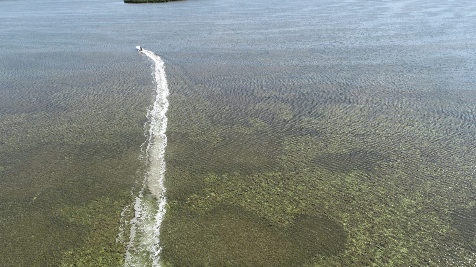 An aerial, high-angle view of a motorized watercraft leaving a long, white, churning wake across a vast, shallow body of water filled with patches of green seagrass. In the distant background, several small, flat, green mangrove islands sit beneath a clear, light blue sky.