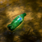 a green plastic bottle floating in shallow water