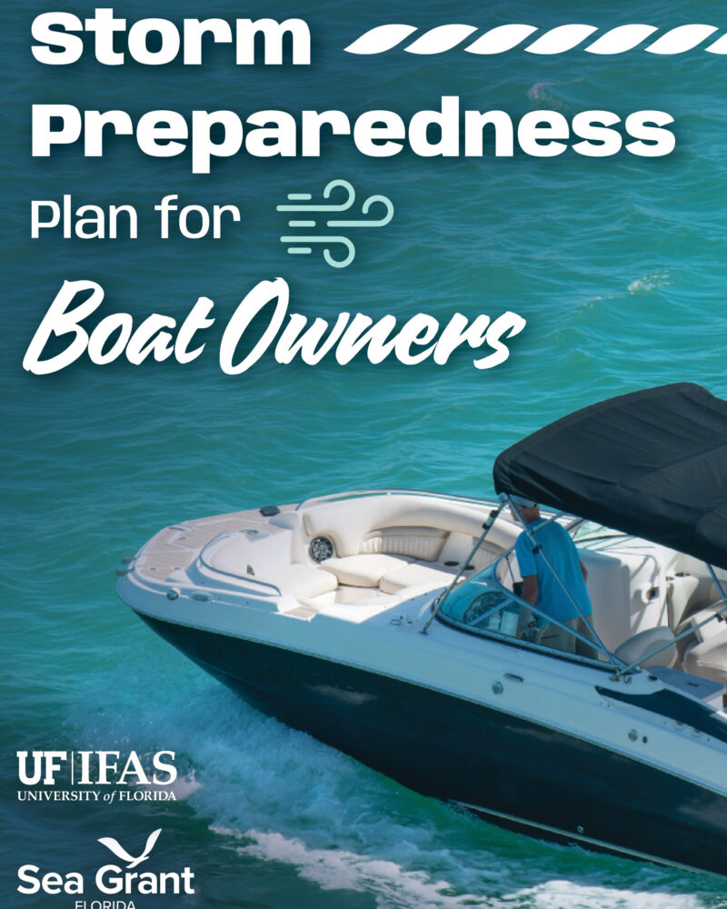 cover image: Storm Preparedness Plan for Boat Owners