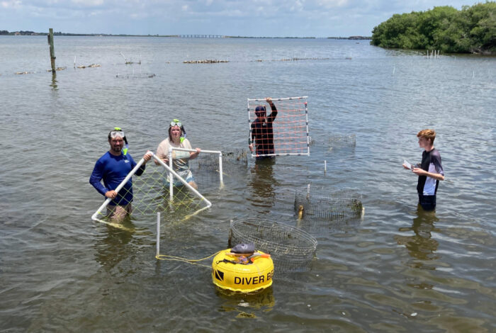 a group of people standing in shallow water holding up square nets on pvc pipes