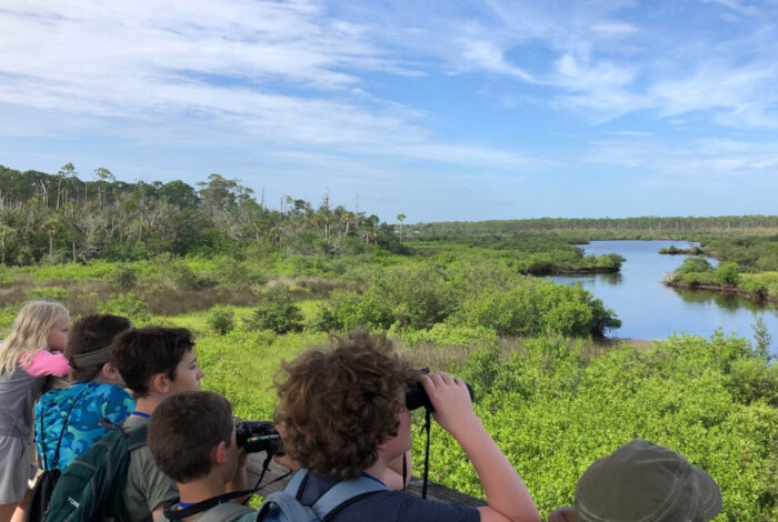 a group of kids standing at a railing looking over a small river running through areas of green vegetation