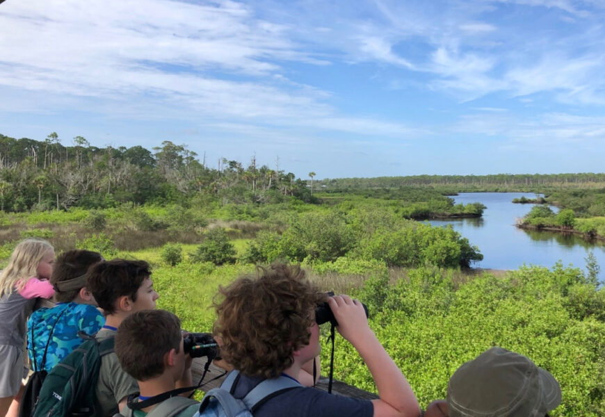 a group of kids standing at a railing looking over a small river running through areas of green vegetation