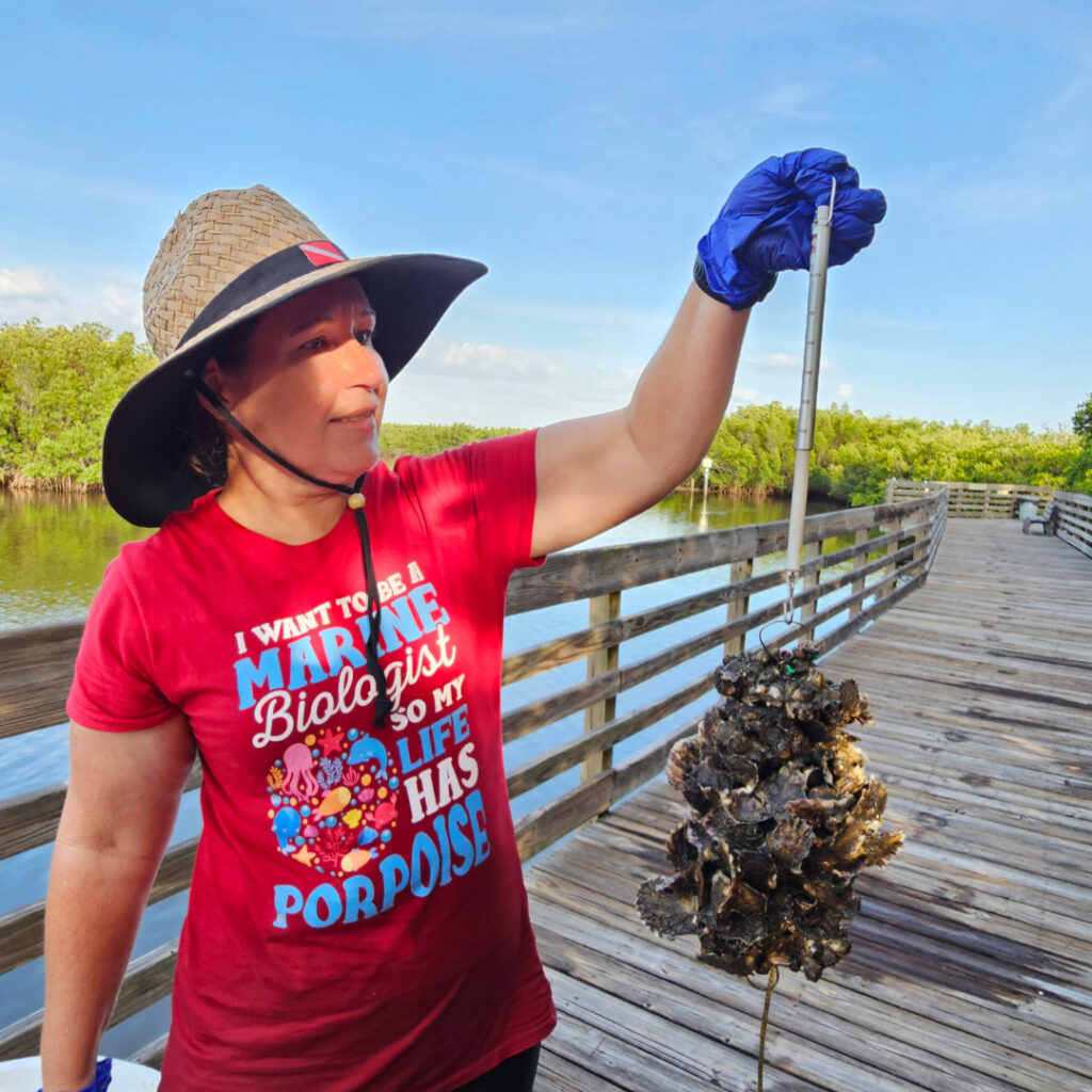 A volunteer helping measure the wet weight of a vertical oyster garden
