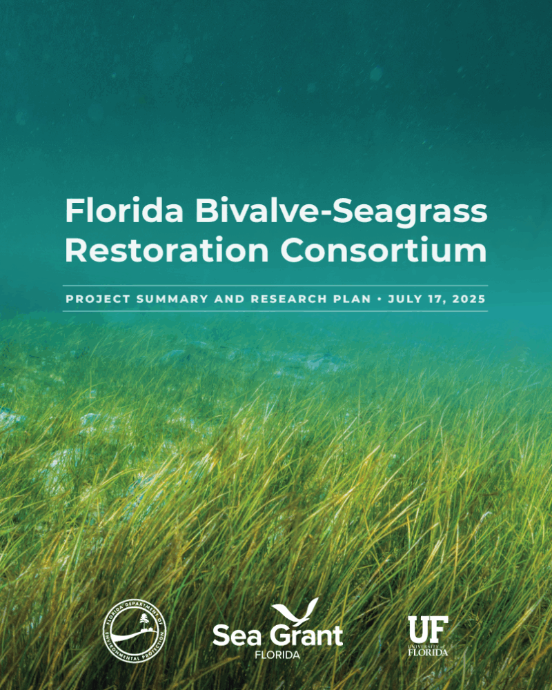 cover image for Florida Bivalve-Seagrass Restoration Consortium Project Summary and Research Plan. image contains seagrass background with the title and logos from Florida Department of Environmental Protection, Florida Sea Grant, University of Florida