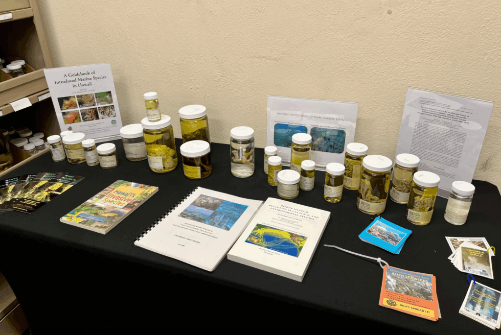 Preserved samples of invasive soft corals