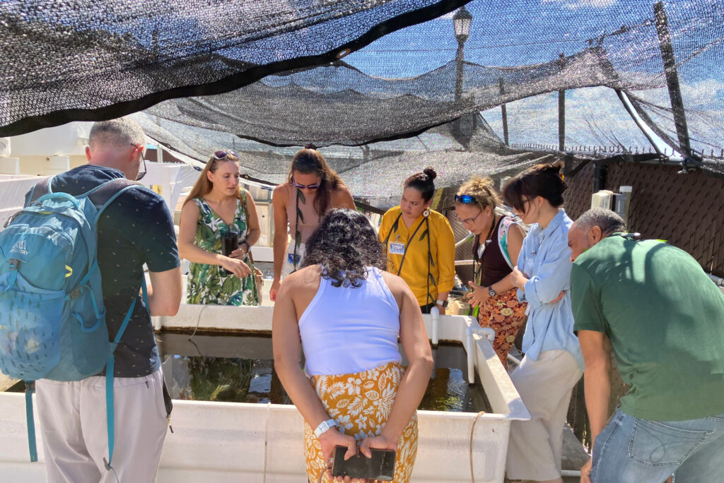 Workshop participants viewing tanks of invasive soft corals