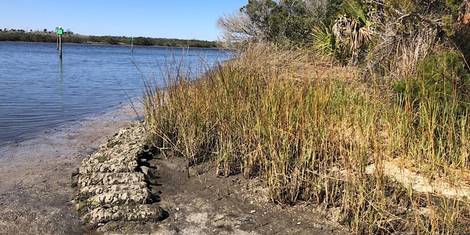 grass and coastline