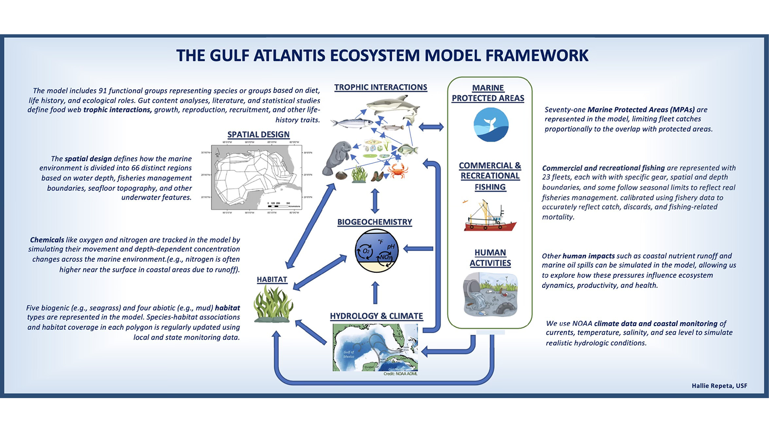Infographic of the Gulf Atlantis Ecosystem Model Framework