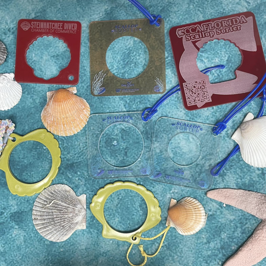 a collection of scallop sorters