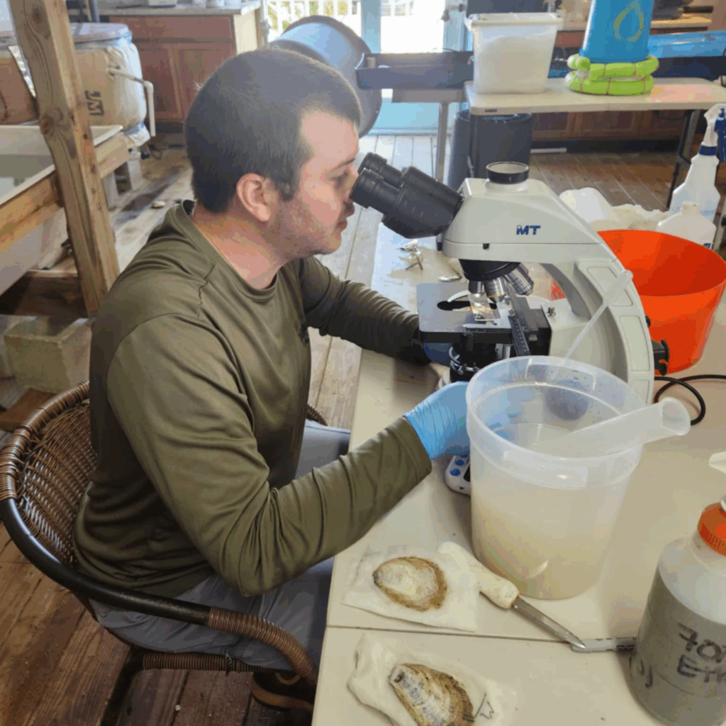 Paul McDonald looking into a microscope