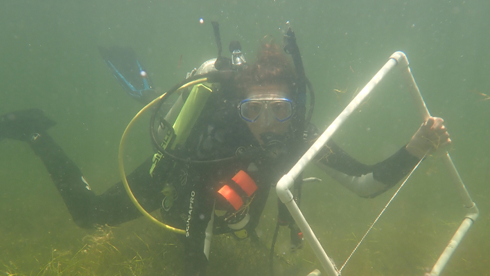 bethany tober underwater