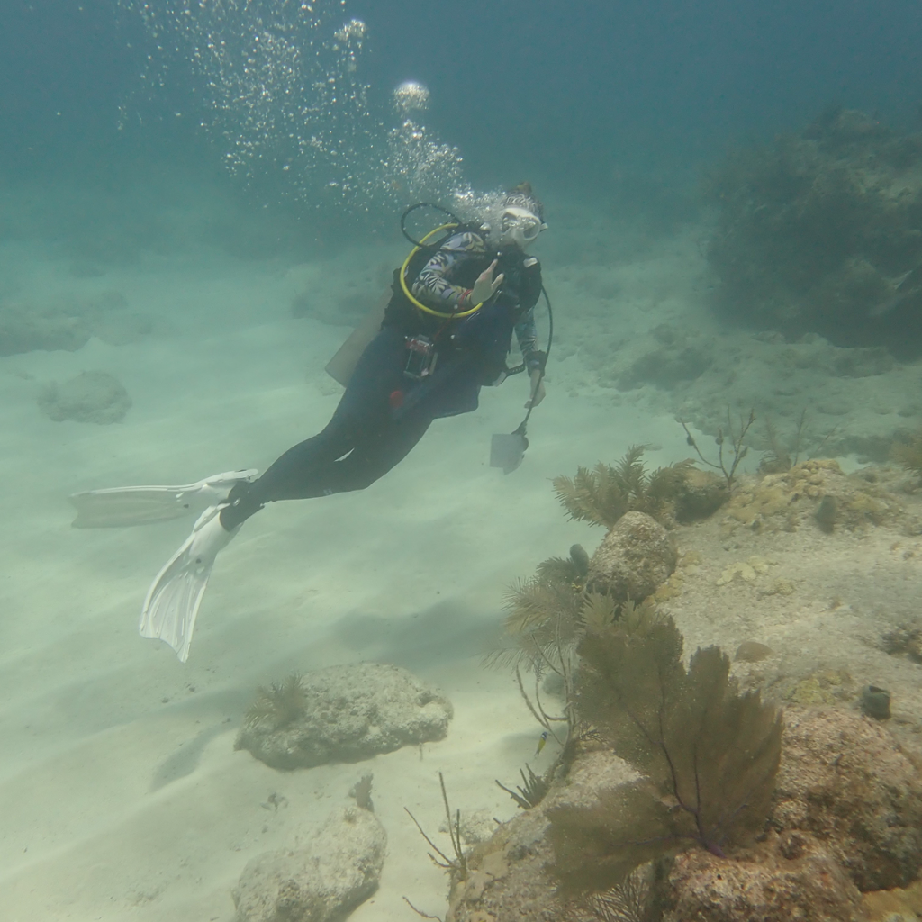 Lillian Bradshaw diving underwater