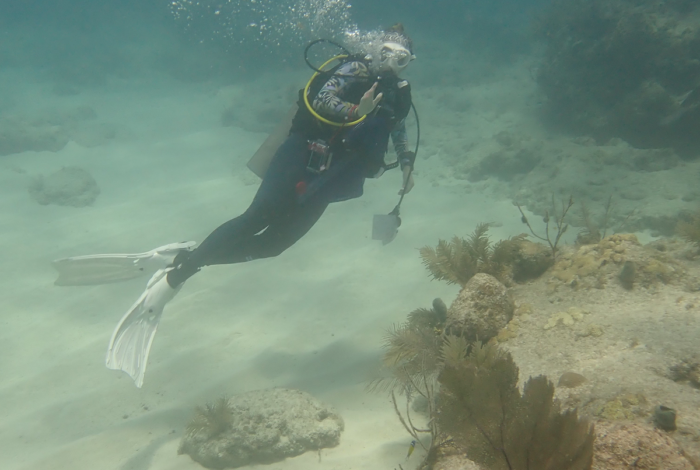 a diver underwater waving