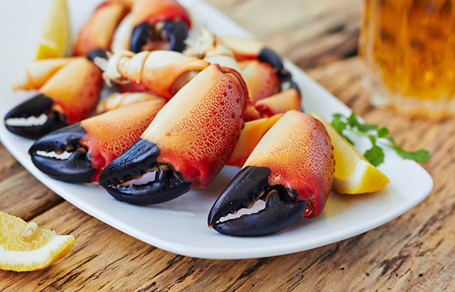 boiled crab claws on a plate and beer